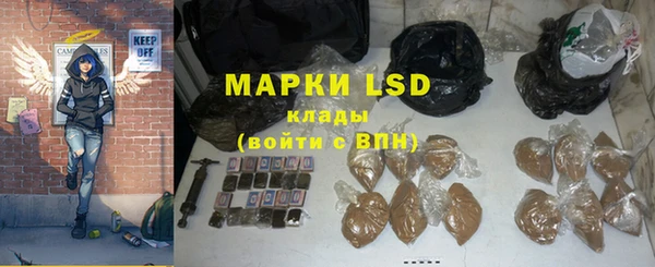 ПСИЛОЦИБИНОВЫЕ ГРИБЫ Костерёво
